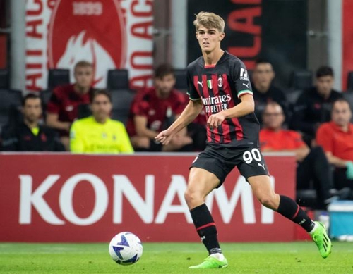 但张之臻作 但张之臻作